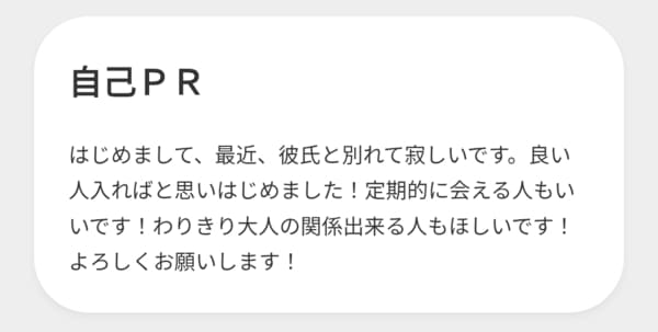 プロフィール例